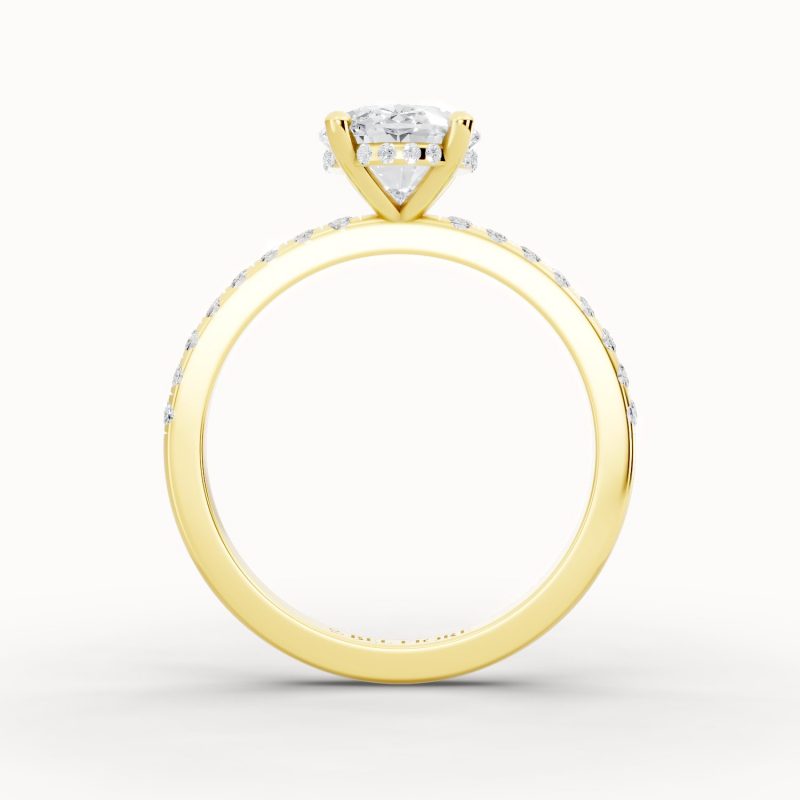 Pavé Diamond Band Engagement Ring side profile